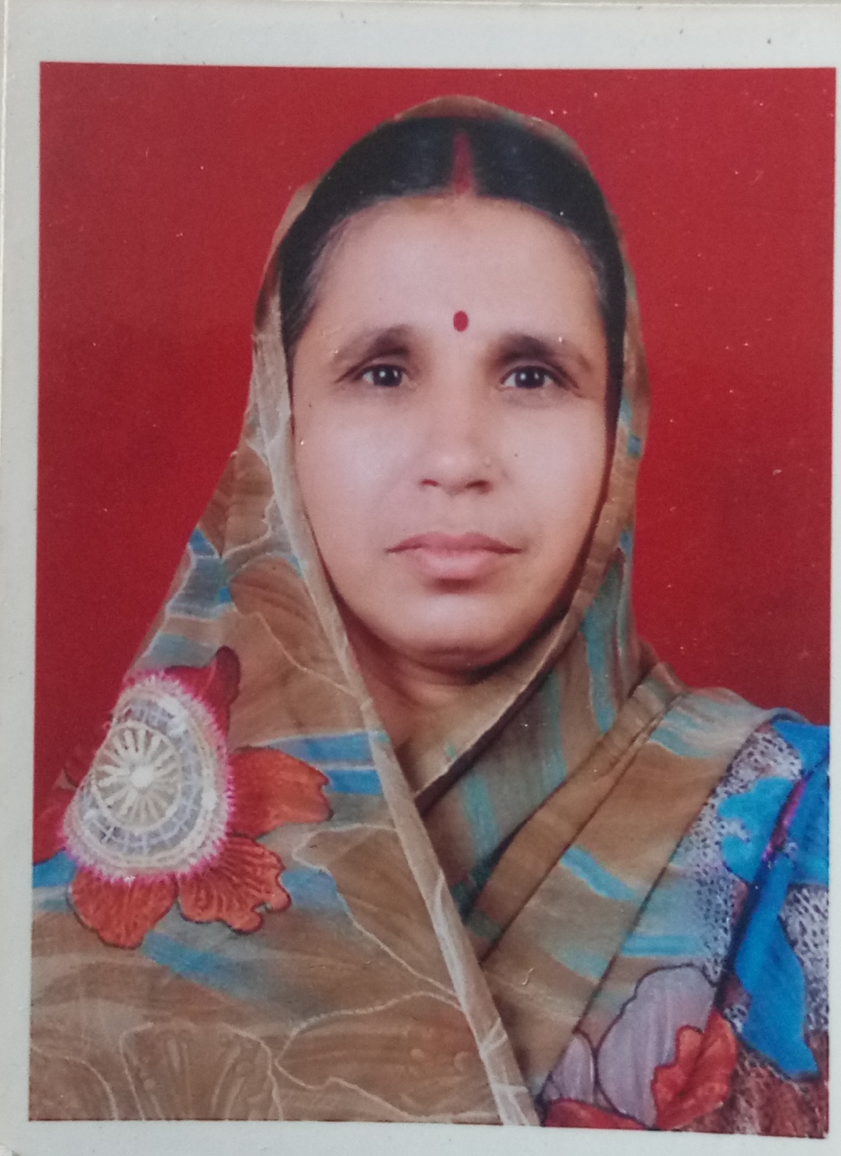  Beena Sharma